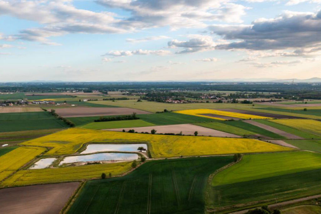 Kolorowe pola uprawne w okolicach Wrocławia – zdjęcie z lotu ptaka - Fotografia z Drona Wrocław