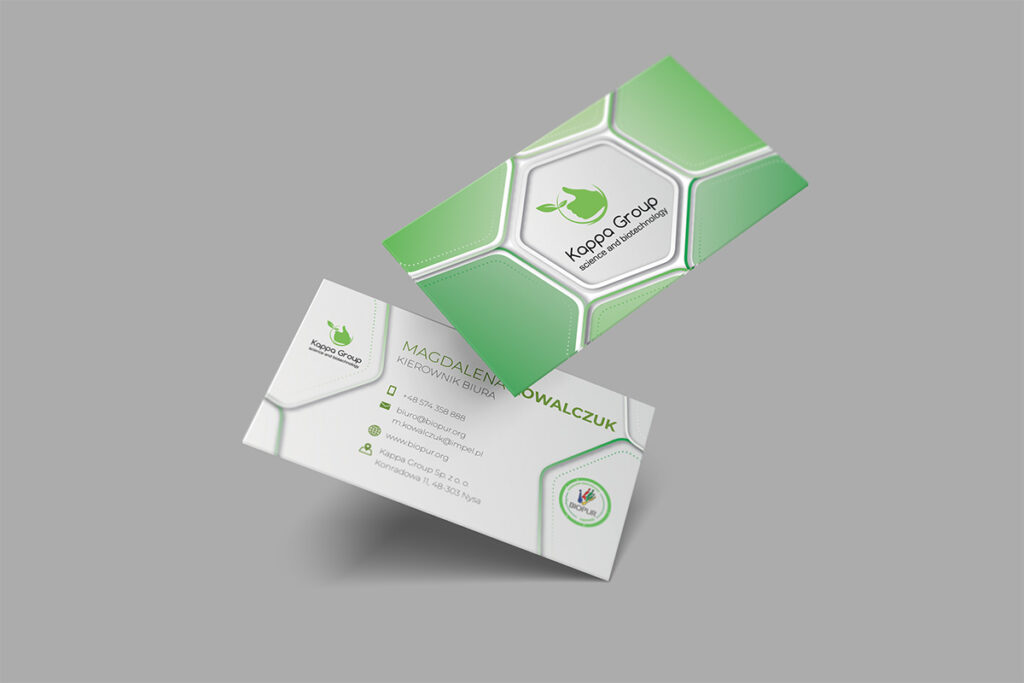 Nowoczesna zielona wizytówka dla producenta ekologicznych środków czystości - Grafika Reklamowa Wrocław