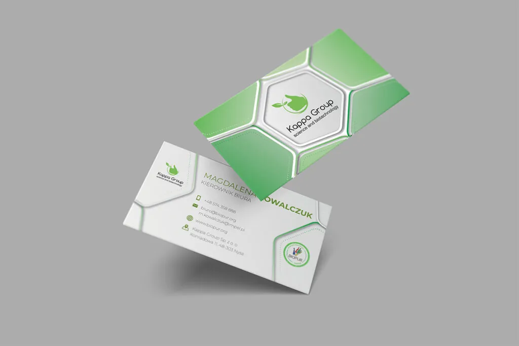 Nowoczesna zielona wizytówka dla producenta ekologicznych środków czystości - Grafika Reklamowa Wrocław
