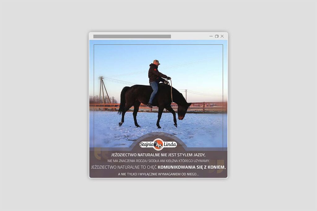 Grafika na social media dla stadniny koni - Grafik komputerowy Wrocław